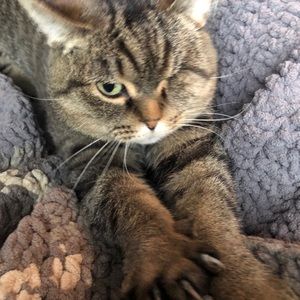 Meet your Posher, Angelina